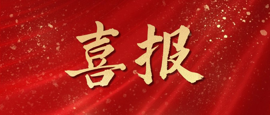 【喜报】商会荣获“2024年度优秀书记项目奖”！