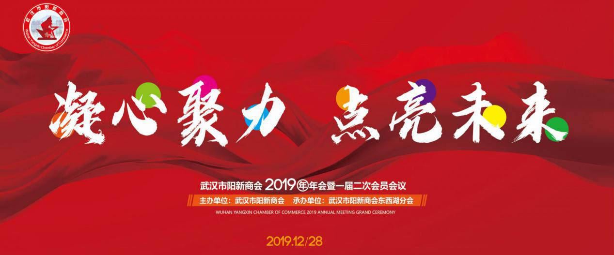 凝心聚力 点亮未来 武汉市阳新商会2019年会暨一届二次...