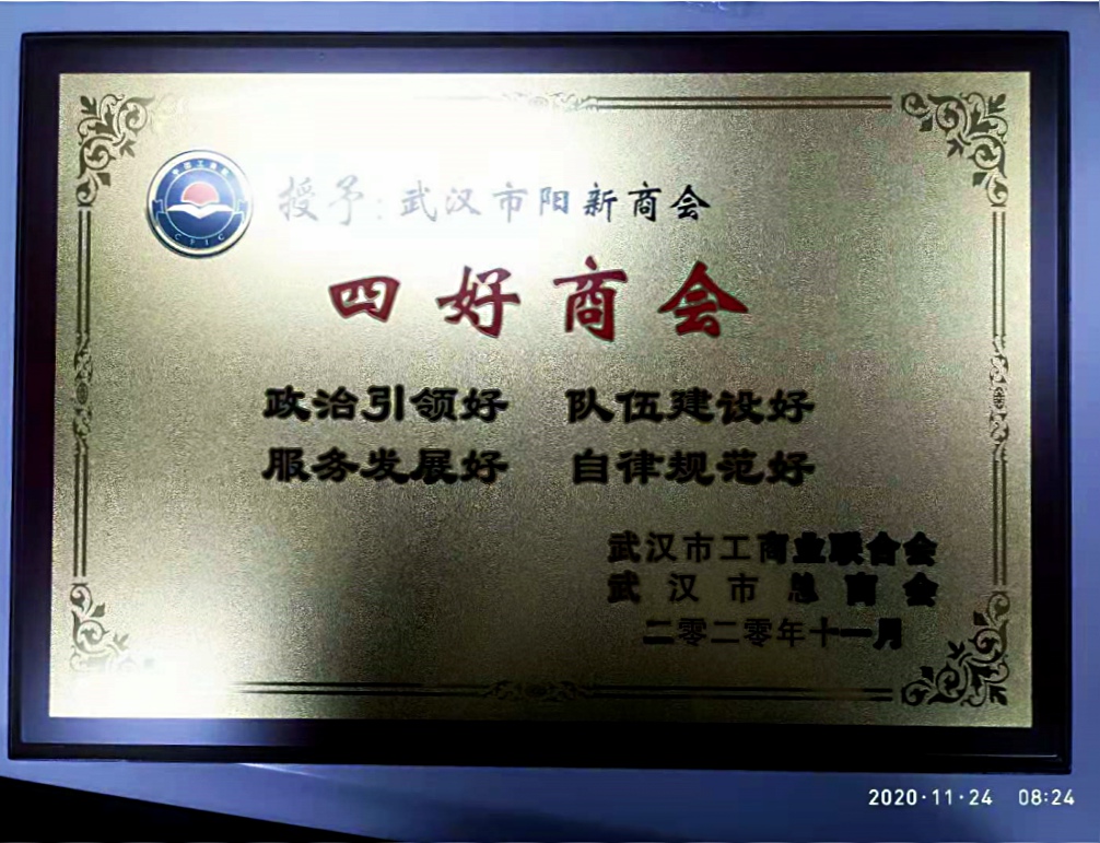 【喜讯】热烈祝贺武汉市阳新商会荣获武汉市2020年“四...